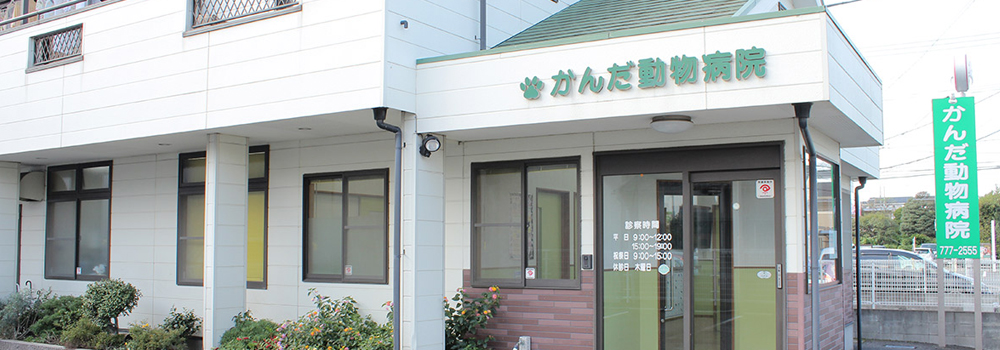 診療案内