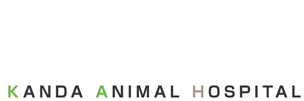 かんだ動物病院