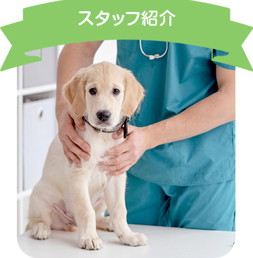 スタッフ紹介