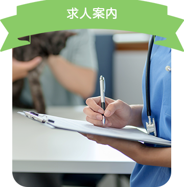 求人案内